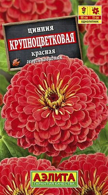 Семена Цинния Крупноцветковая красная (однолетние) (Аэлита) 03г