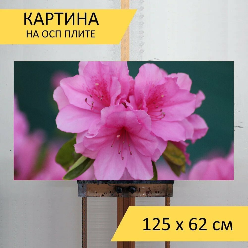 Картина на ОСП 125х62 см. 