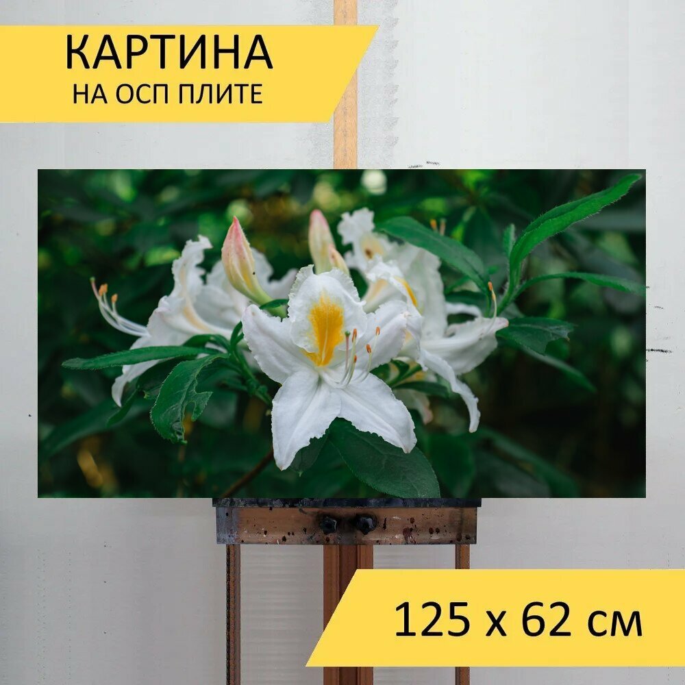 Картина на ОСП 125х62 см. 