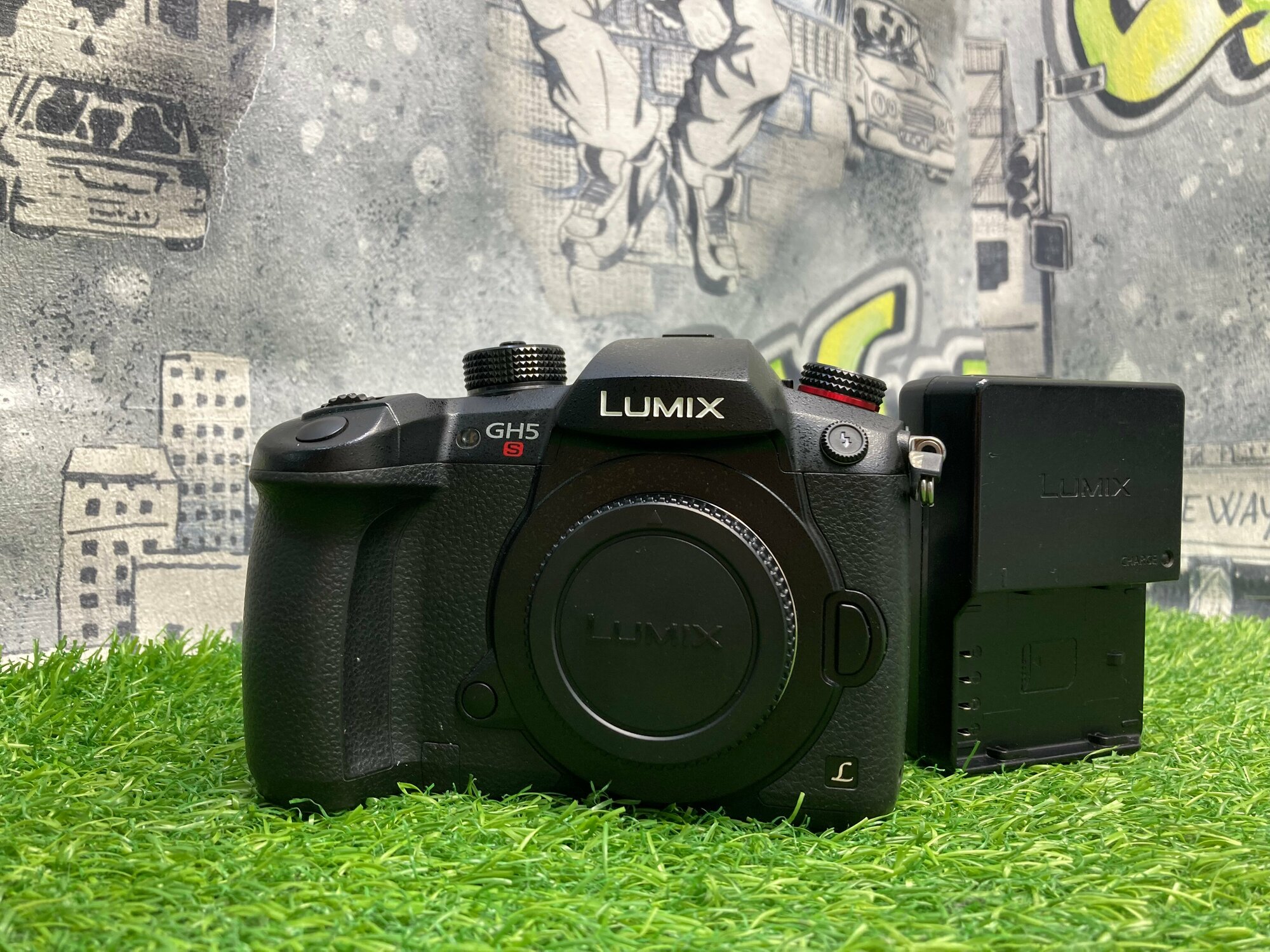 Panasonic Lumix GH5S 4.100 кадров