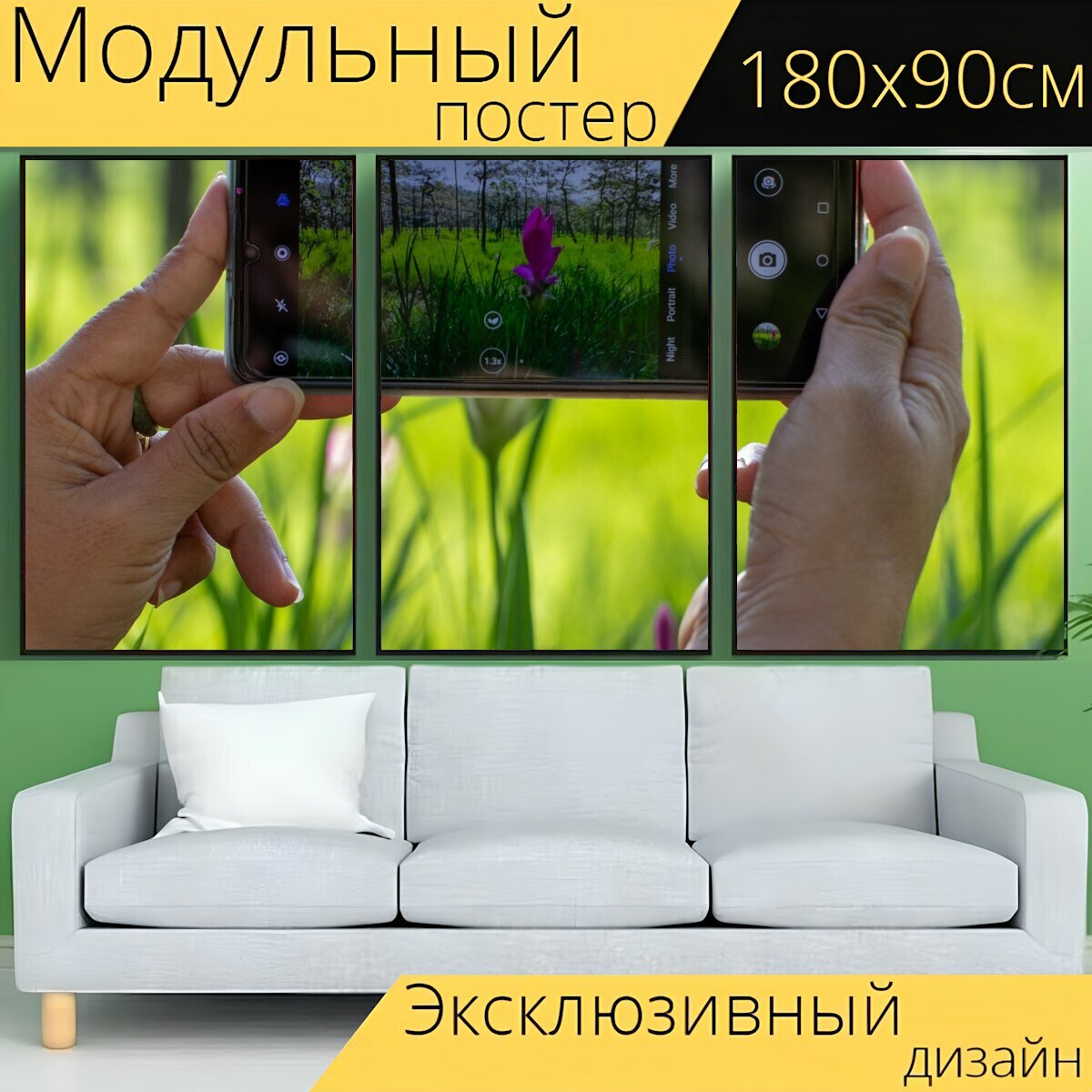 Модульный постер "Смартфон, руки, фотография" 180 x 90 см. для интерьера