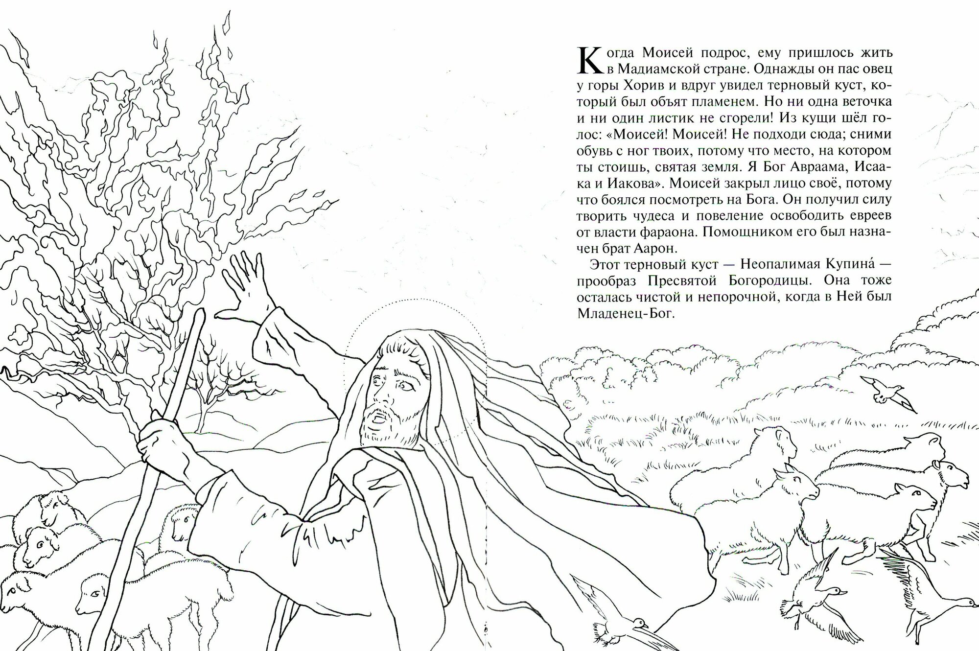 Пророк Моисей. Познавательная книга-раскраска - фото №6