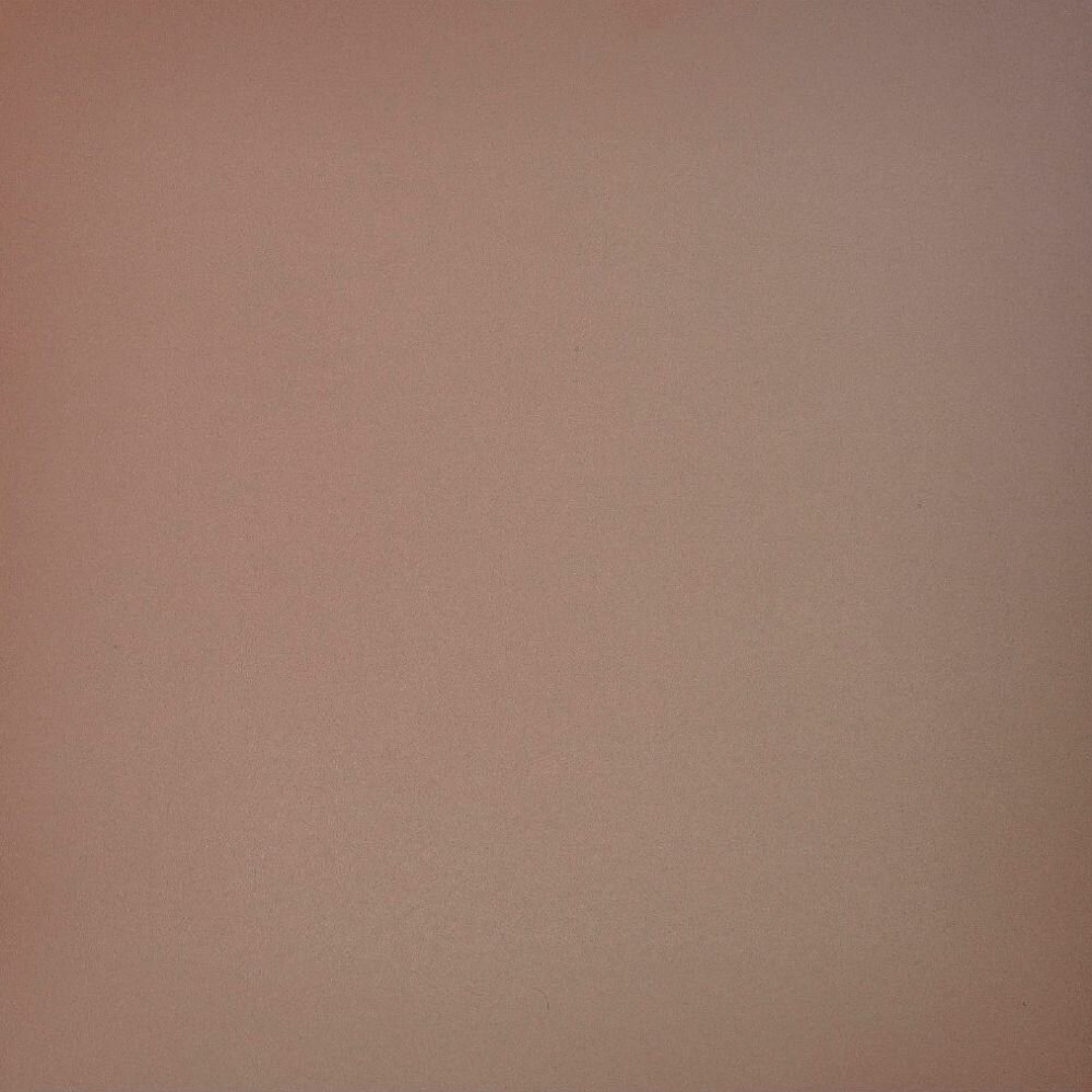 Керамогранит Грани Таганая (Grani Taganaya) Профи Шоколад Матовый 60х60 см (GT025M) (1.44 м2)