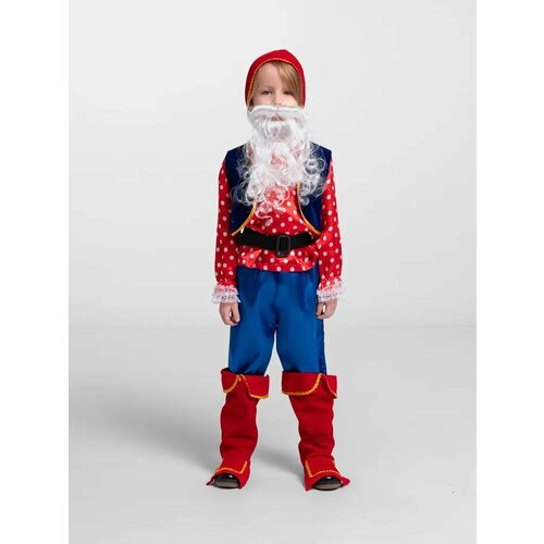 Костюм гнома карнавальный детский для мальчика детский костюм мышка на девочку 13971 104 122 см