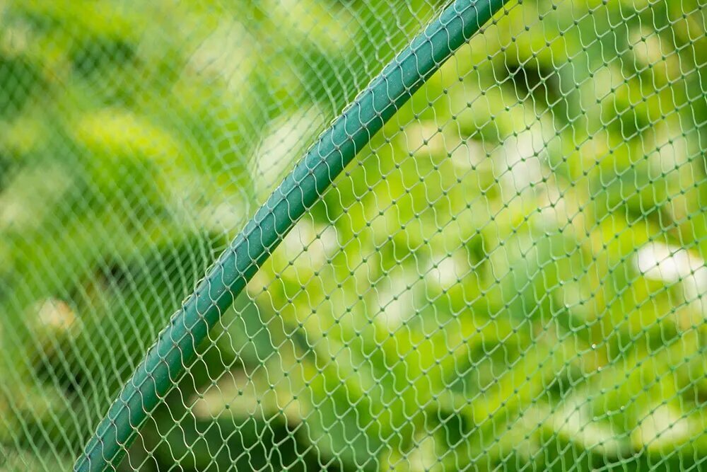 сетка для защиты от птиц 6х6мм 2х10м зелёная ПРОТЭКТ - фото №5