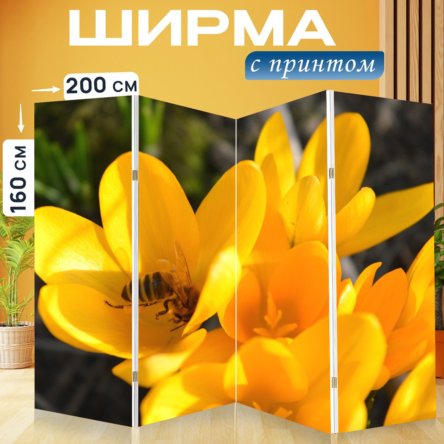 Ширма перегородка с принтом "Крокус, цветы, пчела" на холсте - 200x160 см. для зонирования, раскладная
