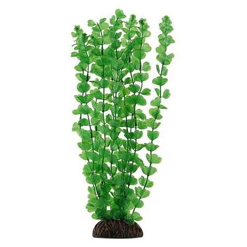 Растение пластиковое зелёное Людвигия, 30см