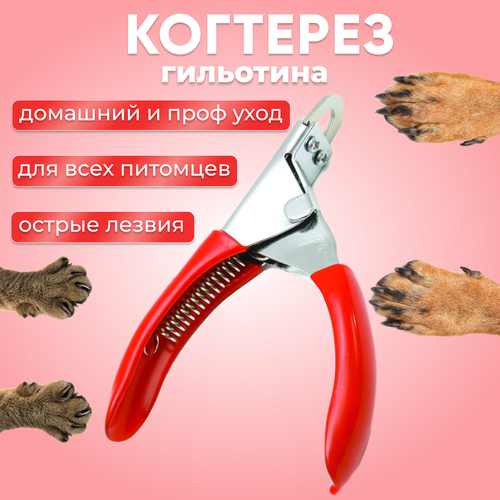 когтерез ножницы для кошек собак животных когтерез 13x7 2 см Когтерез для кошек и собак гильотина
