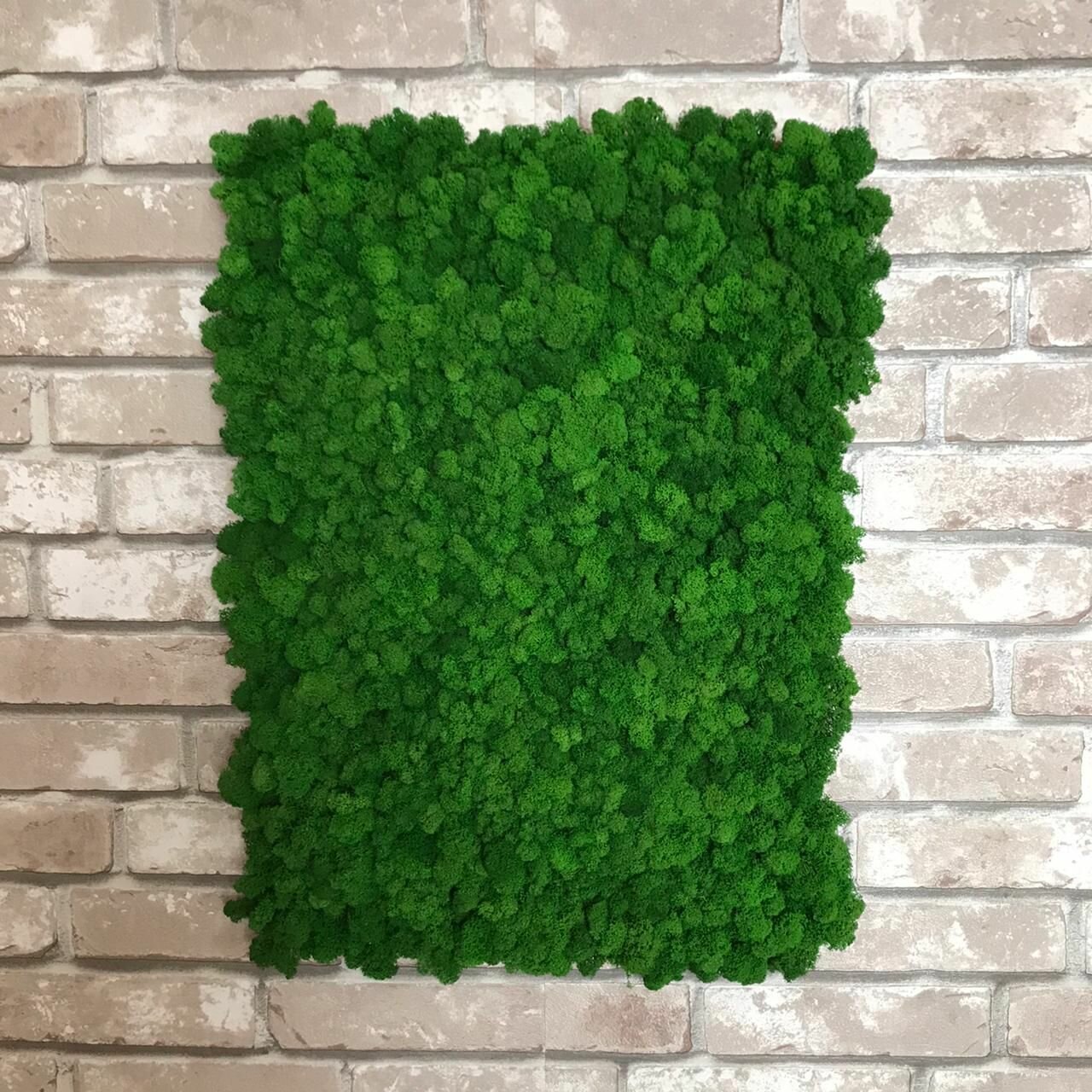 фото Фитопанель 60*40 см из стабилизированного мха ягеля цвет зеленый/панно из мха для озеленения и декора/стеновая панель из мха для детской гостиной кухни