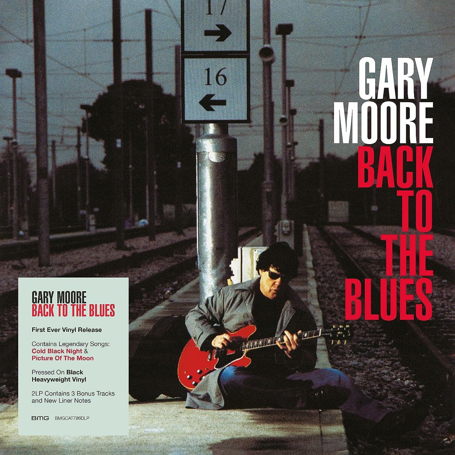 Виниловая пластинка Gary Moore / Back to the Blues (2LP)