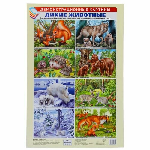Демонстрационные картины Атмосфера праздника Дикие животные 8 плакатов, А3 товары для праздника merimeri гирлянда дикие маргаритки
