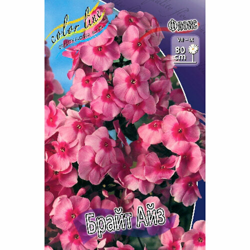 Флокс метельчатый Bright Eyes 1 шт 390₽