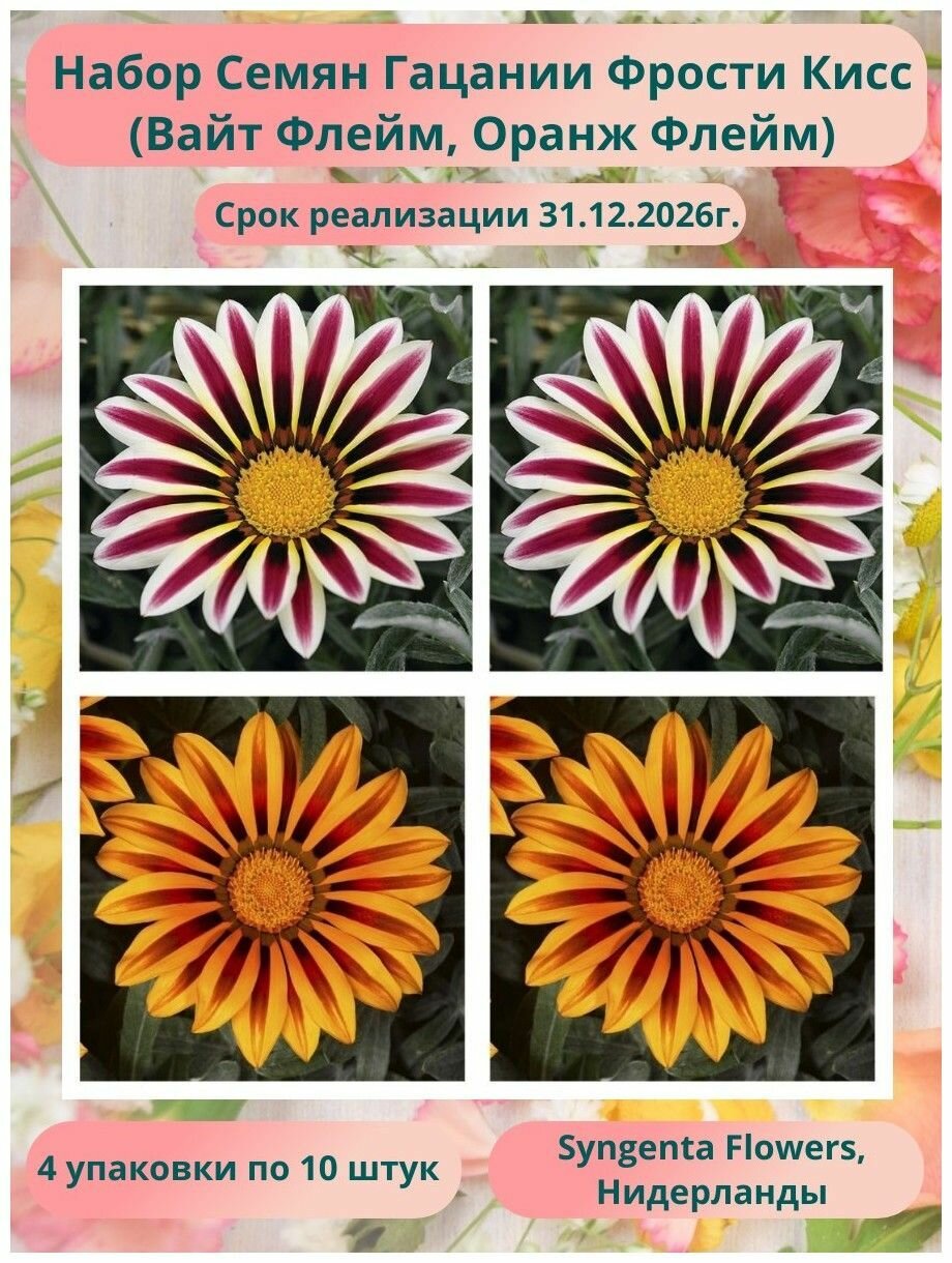 Гацания Фрости Кисс 4 упаковки по 10 штук: Оранж Флейм Вайт Флейм