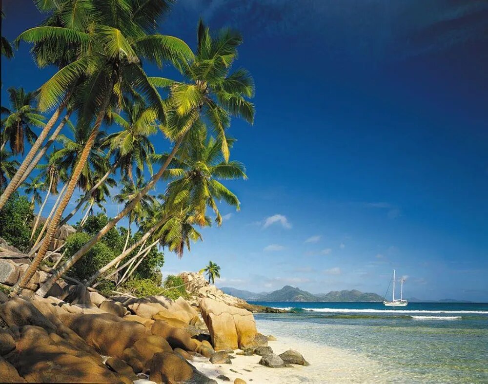 фото Фотообои Komar бумажные 8-093 3,68*2,54 8полотен, клей в комплекте