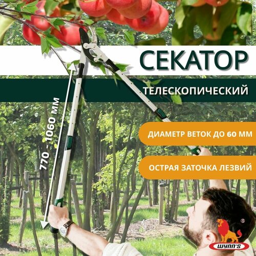 Секатор садовый сучкорез с телескопической выдвижной ручкой для обрезки веток высоких и плодовых деревьев и кустов до 60 мм, длинный профессиональный большой с наковаленкой W0358 WYNNS