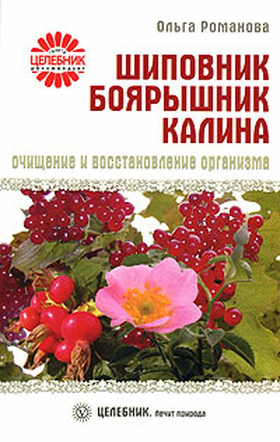 Шиповник, боярышник, калина. Очищение и восстановление организма