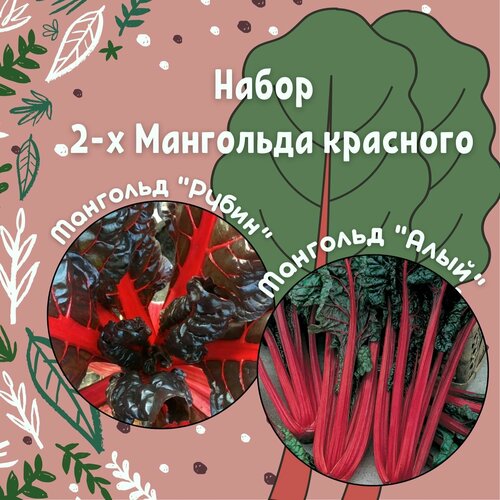 Набор из 2-х Мангольда красного: Рубин, Алый + подарок мангольд поиск рубин 3г