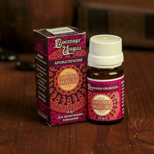 Аромамасло Восторг Индии 15 мл Морозная свежесть 910₽
