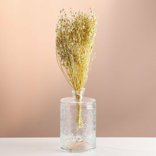 Набор сухоцветов Монетник банч длина 60 - 6 см выбеленный 816₽