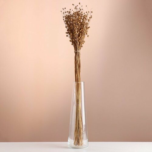 Набор сухоцветов Лён-долгунец банч длина 55-60 - 6 см натуральный 622₽