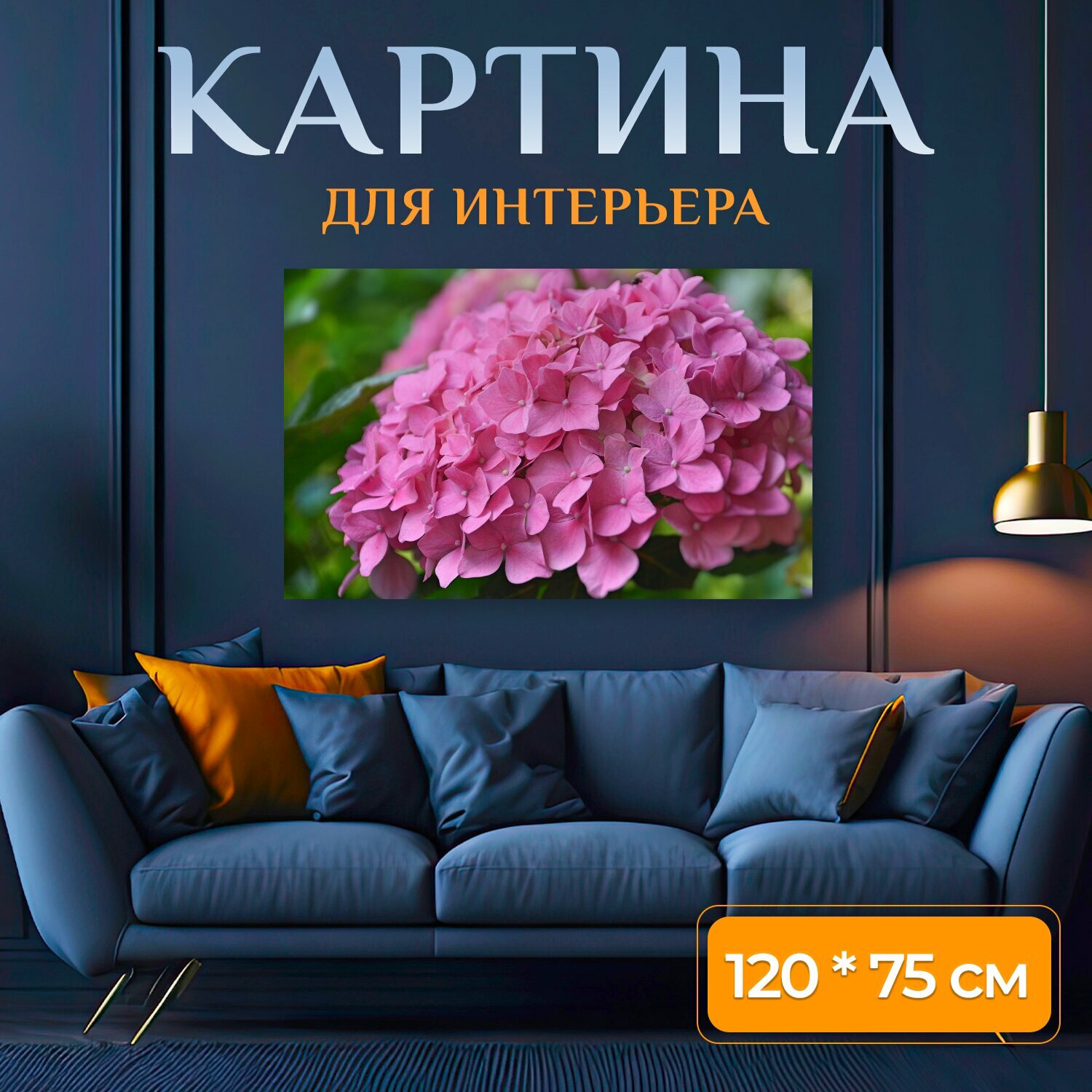 Картина на холсте "Цветок, гортензия, розовый гортензии" на подрамнике 120х75 см. для интерьера