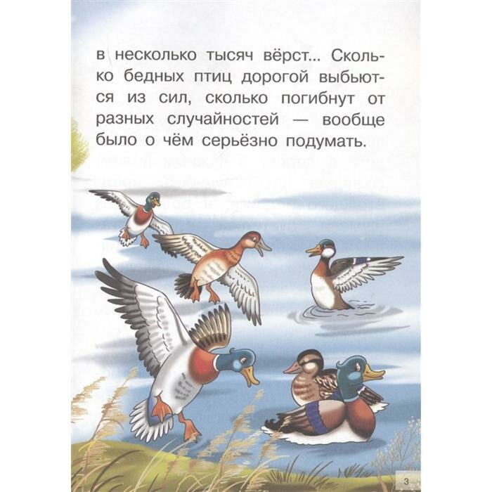 Серая шейка: сказки (Мамин-Сибиряк Дмитрий Наркисович) - фото №13