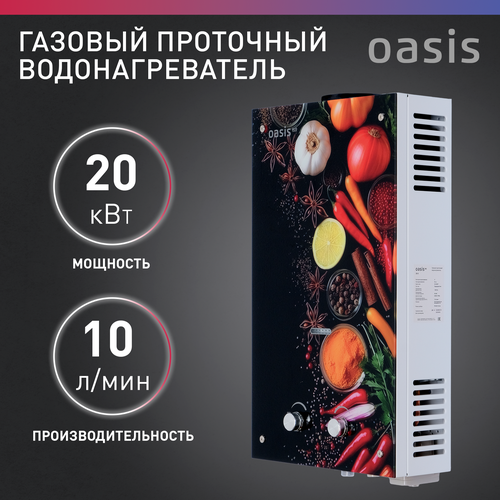 Газовая колонка водонагреватель газовый проточный для воды Oasis Eco 20 O 1150000₽