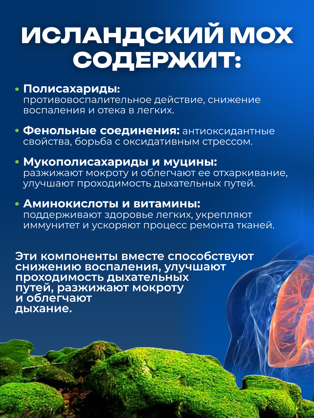 Препараты Для Лечения Коронавирусной Инфекции Экстракт, Исландский мох от кашля в капсулах, 60 капсул