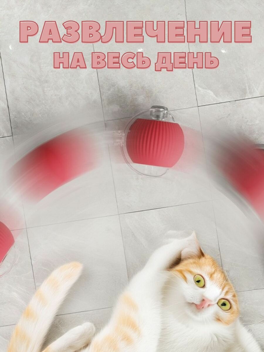 Игрушка для кошек и собак умный мяч интерактивный — фото 1
