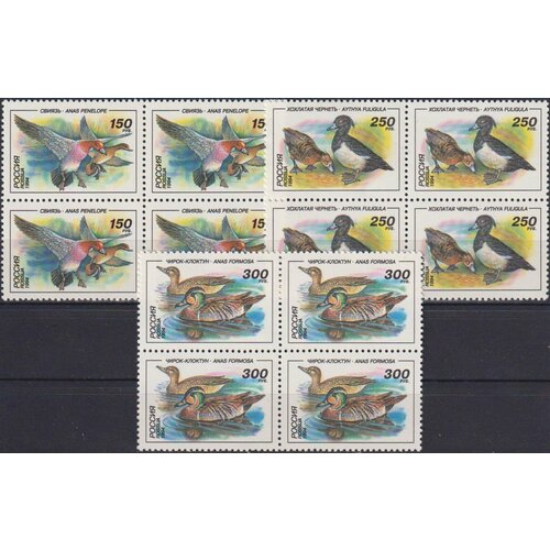 Почтовые марки Россия 1994г. Утки Утки MNH