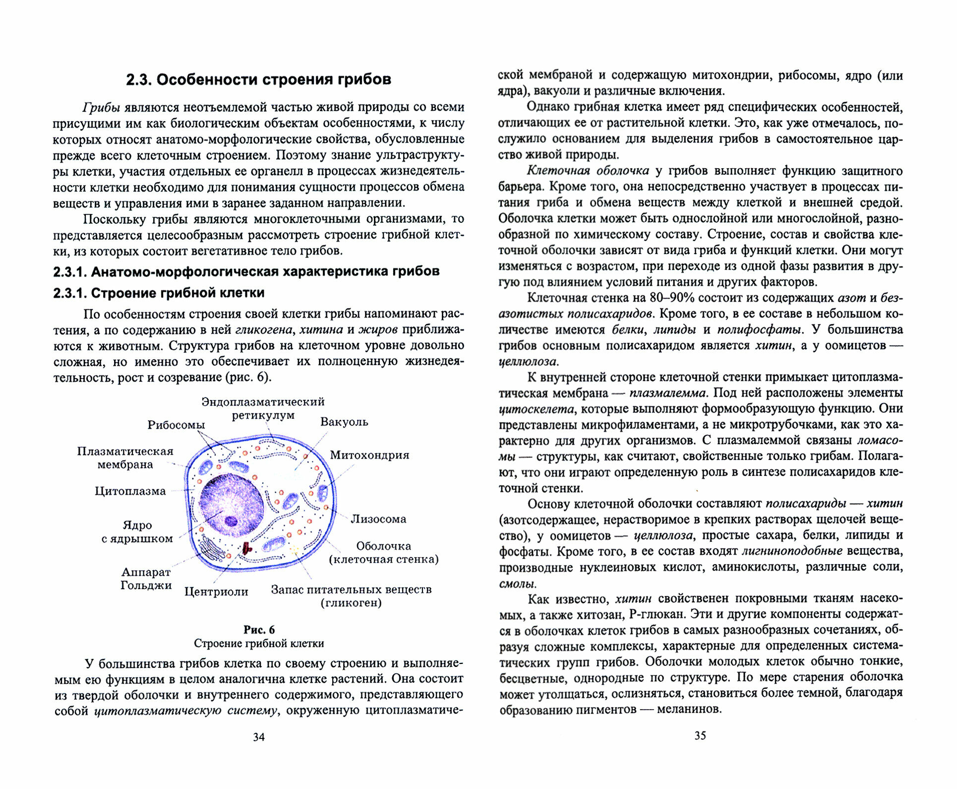 Атлас аннотированный. Грибы (Позняковский Валерий Михайлович, Рязанова Ольга Александровна, Николаева Мария Андреевна) - фото №4