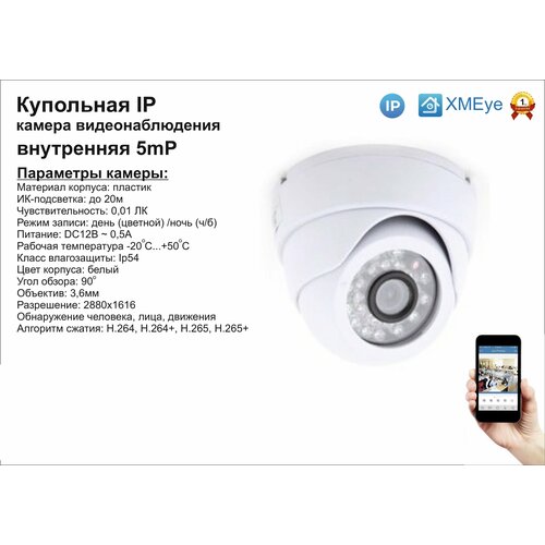 DVW300IP5MP Внутренняя IP камера 5мП с ИК до 20м 342500₽