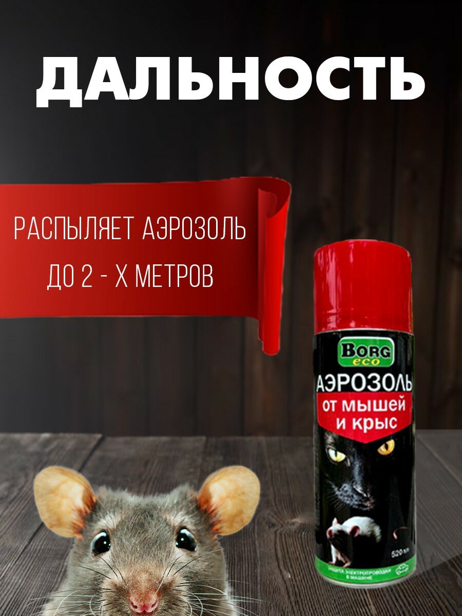 Аэрозоль от мышей и крыс BORG eco 400мл - фотография № 6