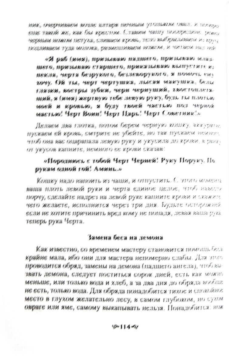 Черный Обрядник. Книга 1 (Черновед) - фото №3