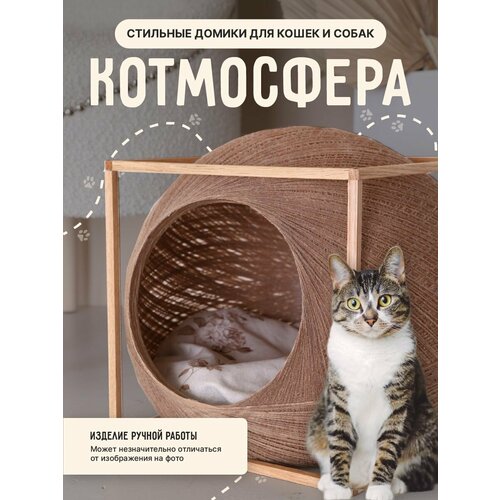 Бежевый домик лежанка в форме шара для кошки и собаки в деревянном кубе