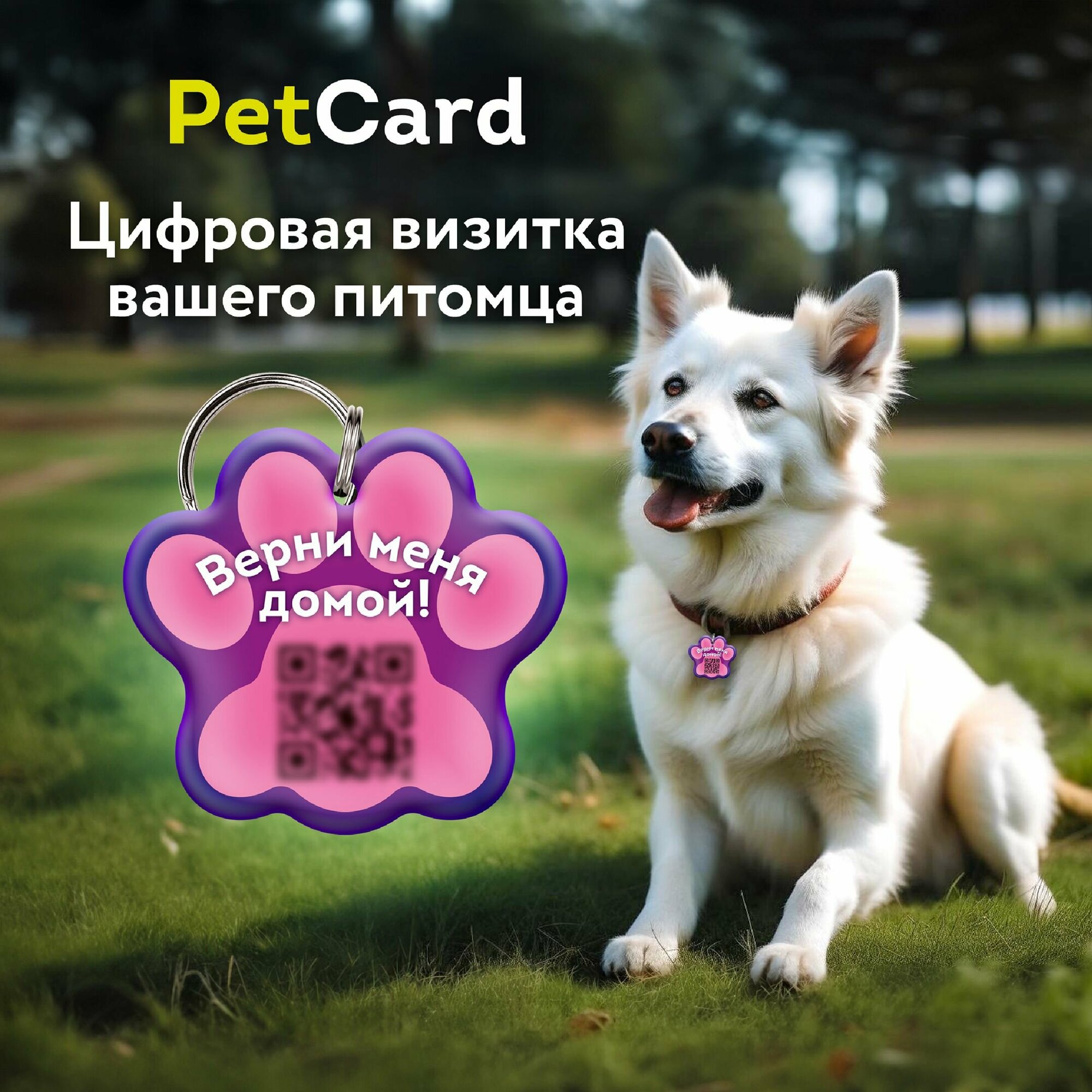 Цифровая визитка / адресник PetCard для собак и кошек с QR кодом и NFC розовая.