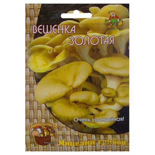 Семена Гриб вёшенка золотая или лимонная «Мицелий» на древесном носителе семена гриб вёшенка рожковидная мицелий на древесном носителе