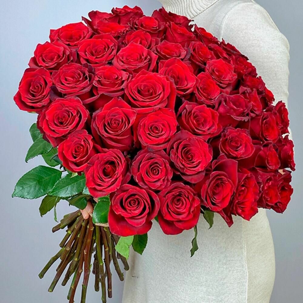 51 красная Роза 70 см