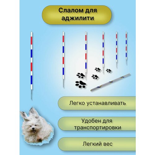 Слалом для аджилити (слалом для собак)