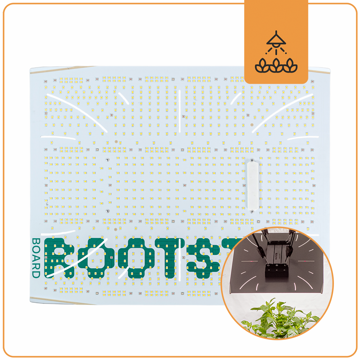 Rootster Board