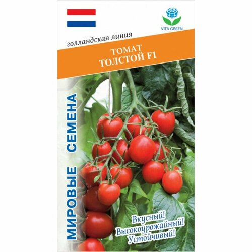 Томат Толстой, F1, 10 семян, VITA GREEN томат толстой f1 10 семян vita green