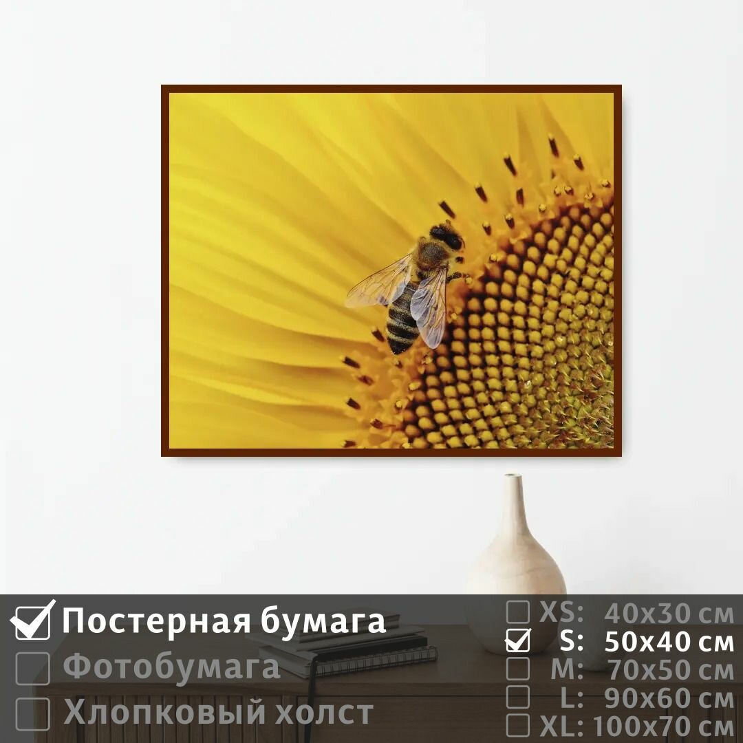 Постер на стену Пчела В Подсолнухе 100х70 см ПолиЦентр