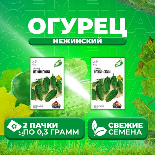 Огурец Нежинский, 0,3г, Удачные семена, серия ХИТ (2 уп)