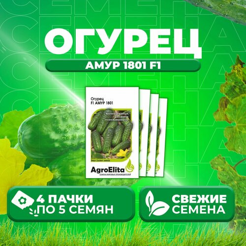 Огурец Амур 1801 F1, 5шт, AgroElita, Bejo (4 уп)