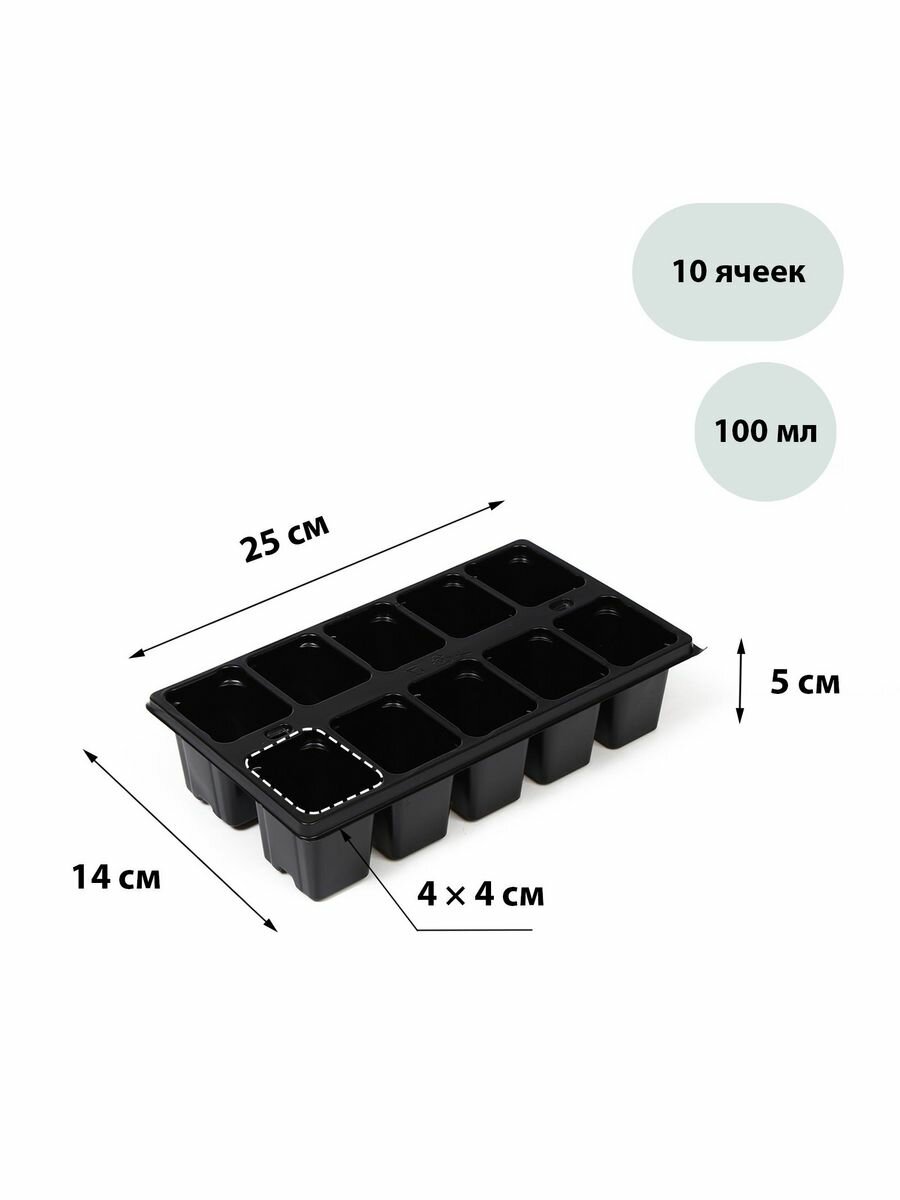 Кассета для рассады на 10 ячеек, по 100 мл, 25х14х5 см