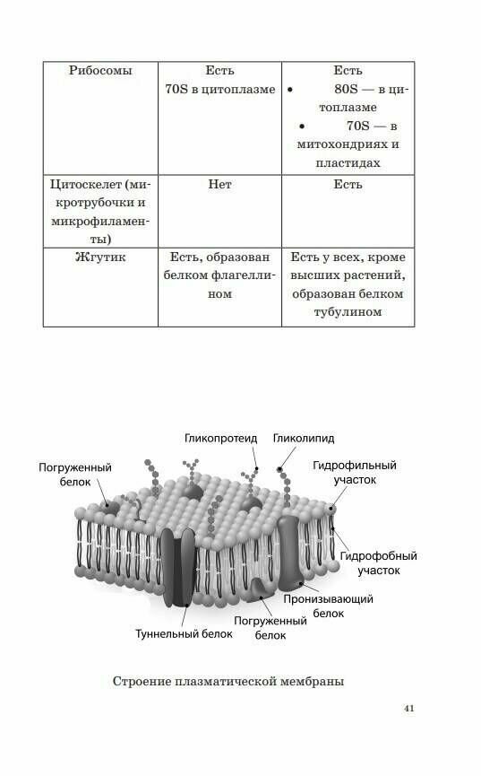 ОГЭ. Биология. Новый полный справочник для подготовки к ОГЭ - фото №19