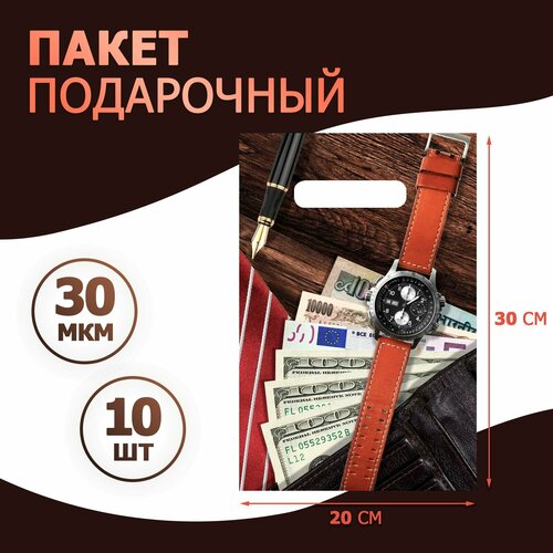 Пакет подарочный полиэтиленовый с вырубной ручкой 300x200 мм 30 мкм набор 10 шт 400₽