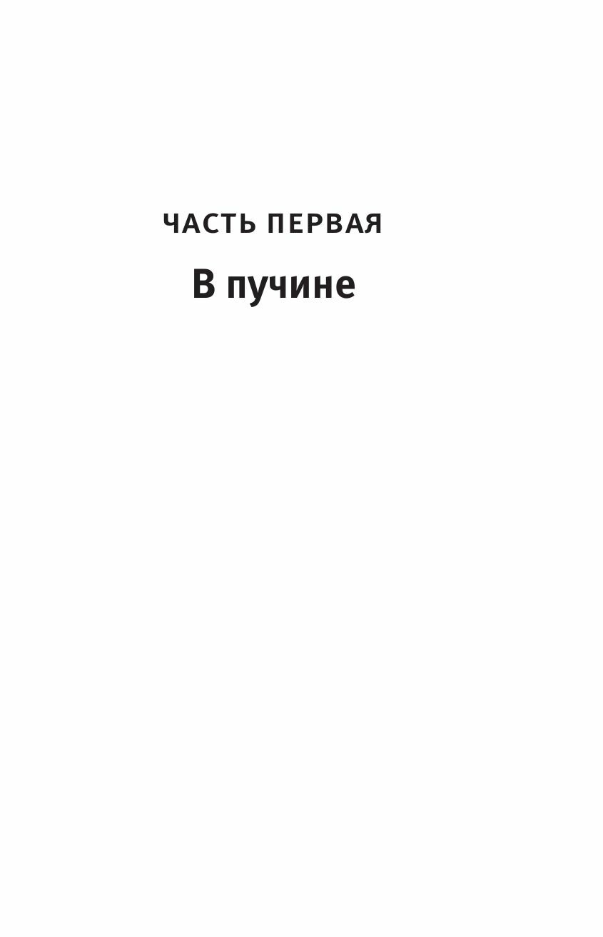 Исчезновение Стефани Мейлер (Жоэль Диккер) - фото №20