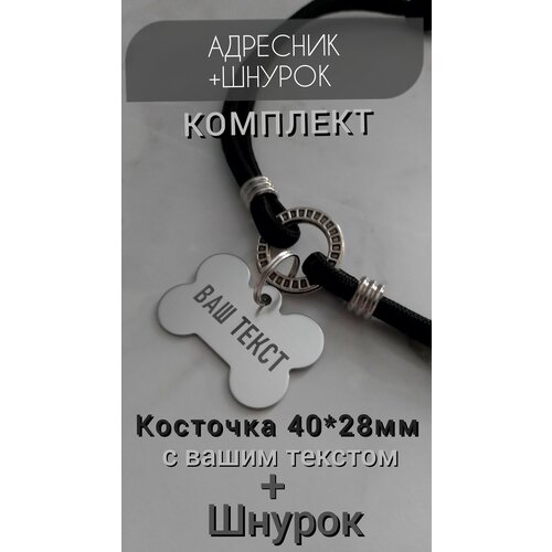 Адресник с гравировкой на шнурке для собак и кошек