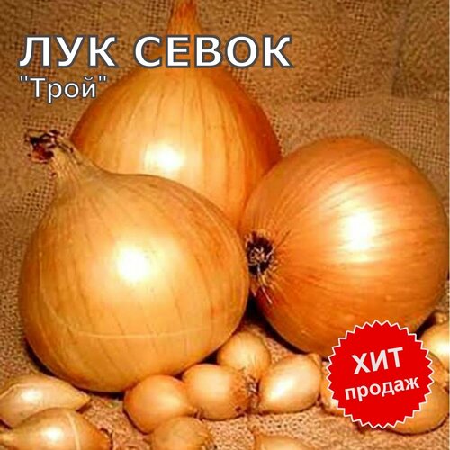 Лук севок на посадку Трой 1 кг